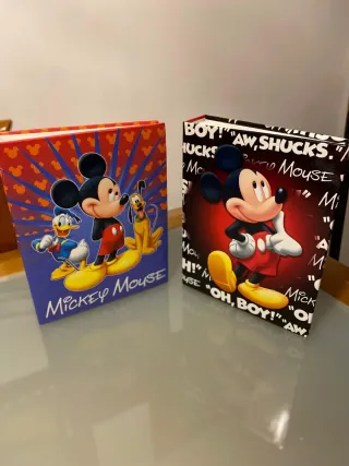 Álbum de fotos Mickey Mouse Disney