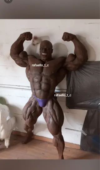 Figuras tamaño real
