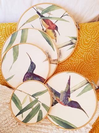 5 Bastidores Madera (Bordadores)