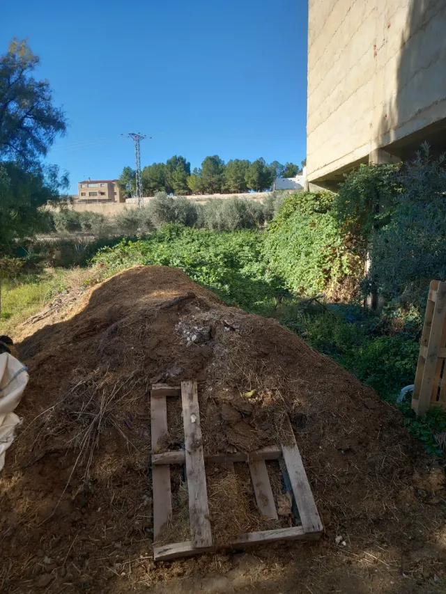 Estiércol de caballo