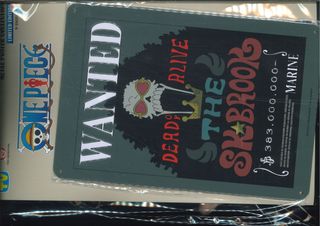 Targa One Piece Wanted The Skbrook N9