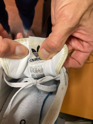 Adidas Continental Uomo Bianco Taglia 44