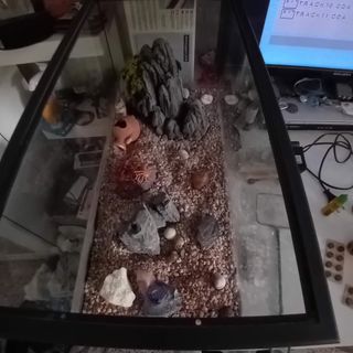 Acuario + Accesorios