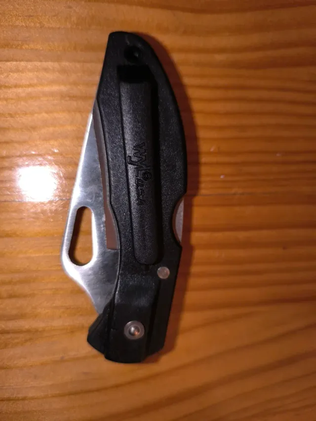 Lama da barba WYL USA