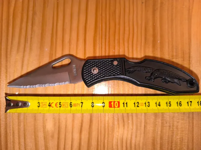 Lama da barba WYL USA