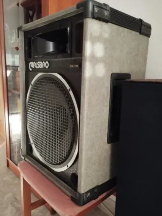 Altavoces Carlsbro Profesionales RX-115