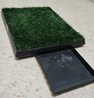 Alfombra Pipí para Perros
