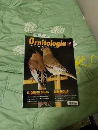 Revista ornitología práctica n° 107.