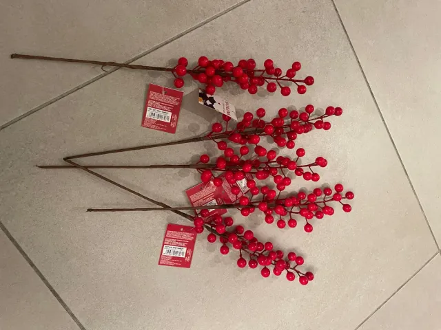 Bacche rosse decorative