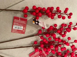 Bacche rosse decorative