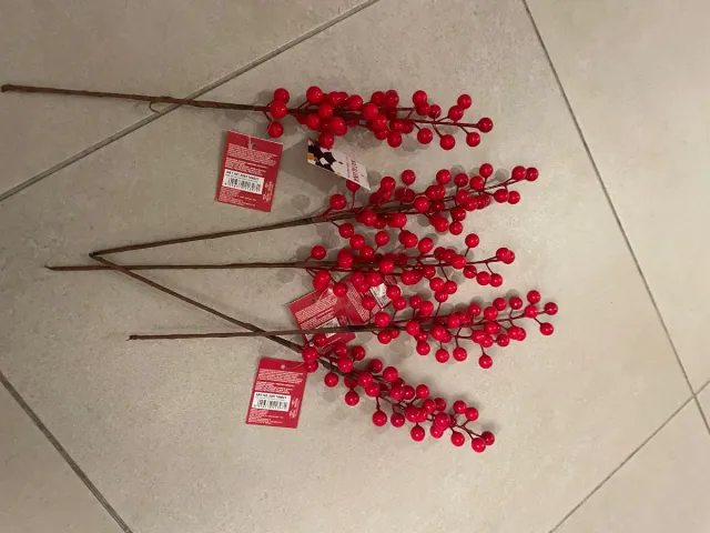 Bacche rosse decorative