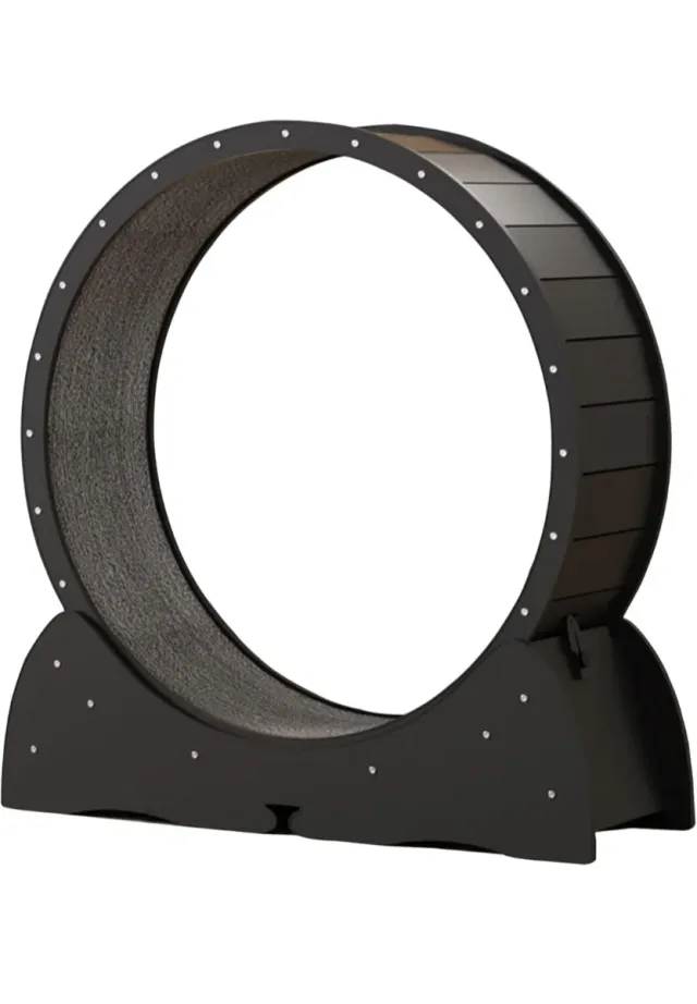 Rueda de ejercicio para gatos