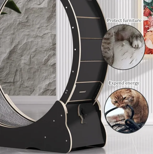 Rueda de ejercicio para gatos