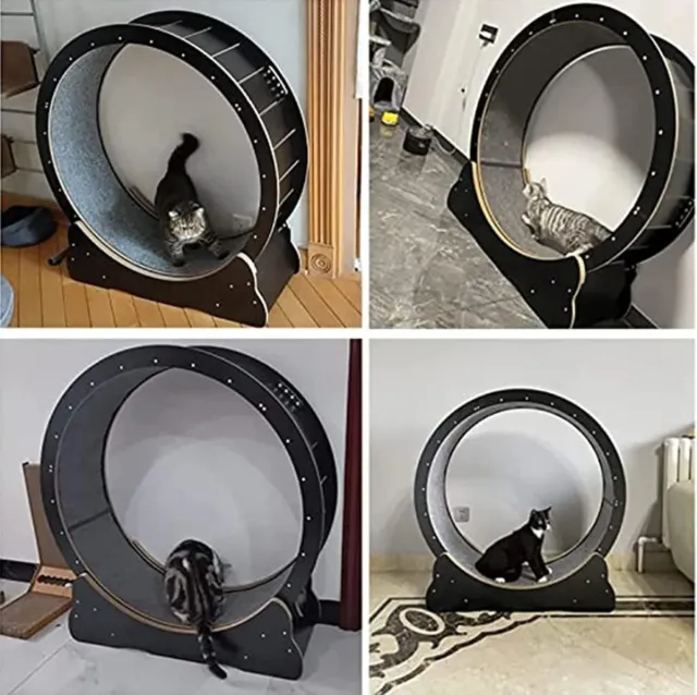 Rueda de ejercicio para gatos