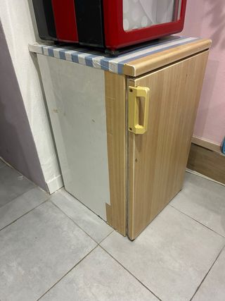 Nevera pequeña