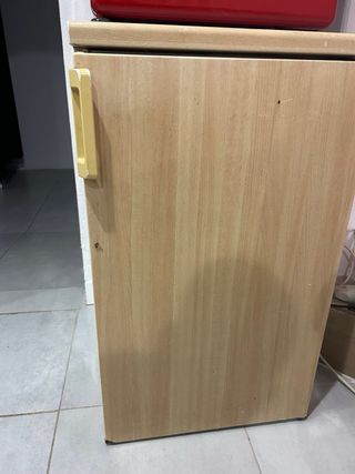 Nevera pequeña