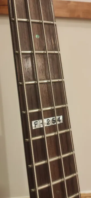 Bajo Eléctrico LTD/ESP F-254 Activo