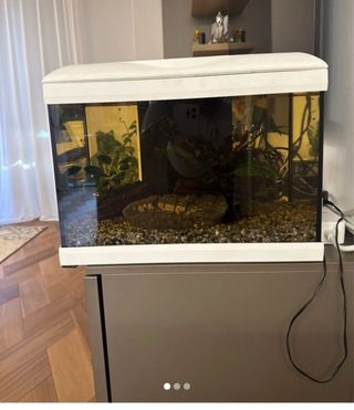 Acquario 20lt con termostato e decorazioni