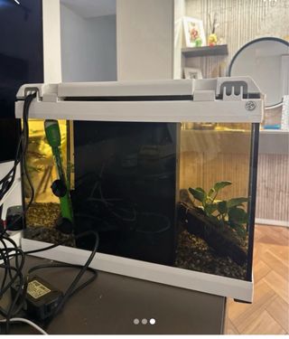 Acquario 20lt con termostato e decorazioni