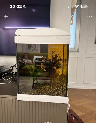 Acquario 20lt con termostato e decorazioni