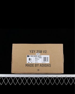 Adidas Yeezy Boost 350 “static”