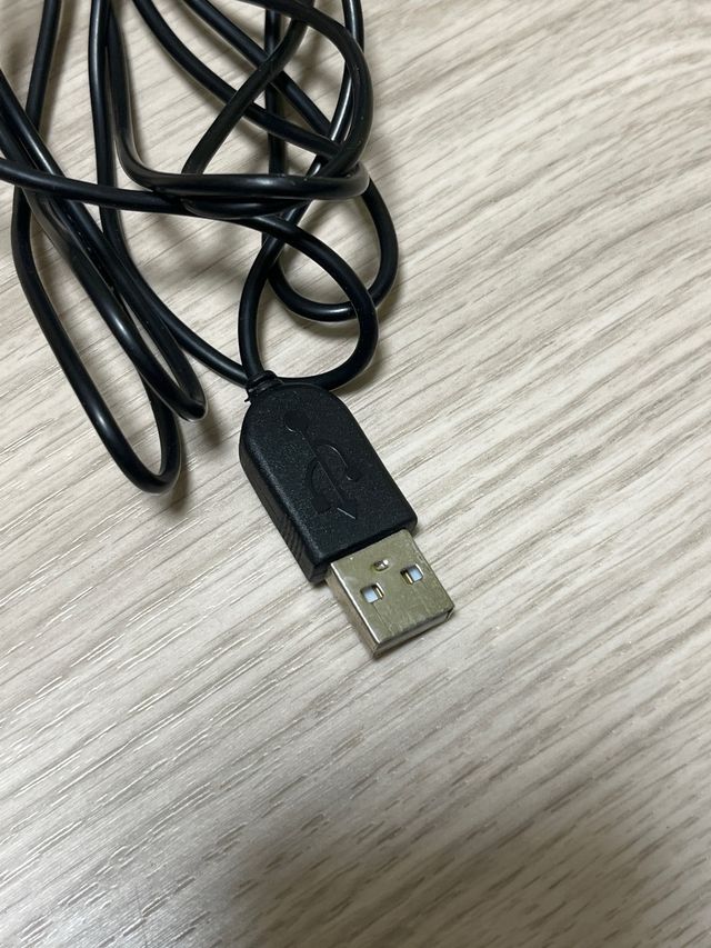 Ratón Genius Negro USB