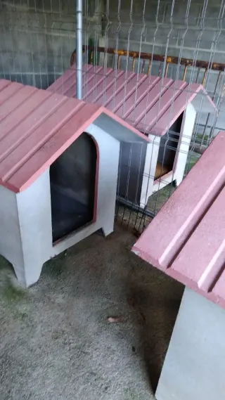 Casetas para perros exterior