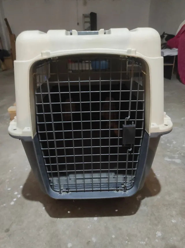 Transportín perro grande beige/gris