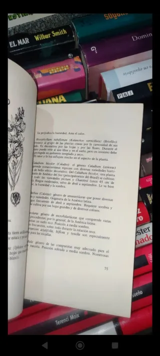 Guia breve de jardinería