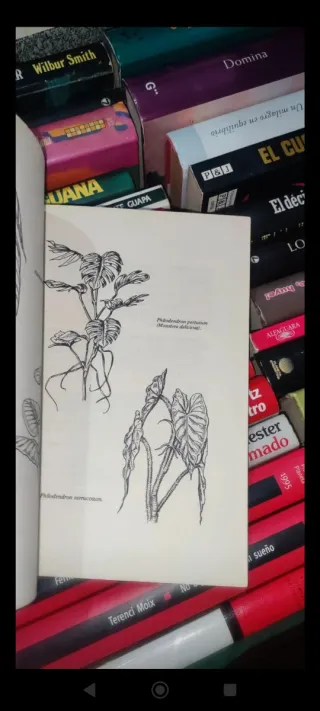 Guia breve de jardinería