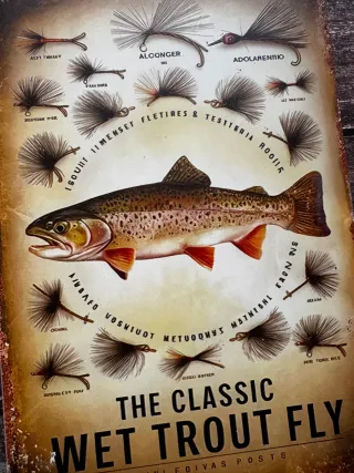CARTEL PLACA DE PESCA TRUCHA TIPOS DE MOSCAS