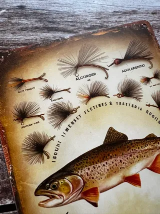 CARTEL PLACA DE PESCA TRUCHA TIPOS DE MOSCAS