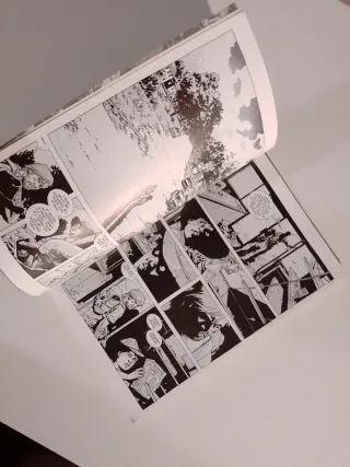 The Walking Dead Volume 9: Here We Remain