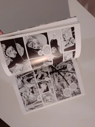 The Walking Dead Volume 9: Here We Remain