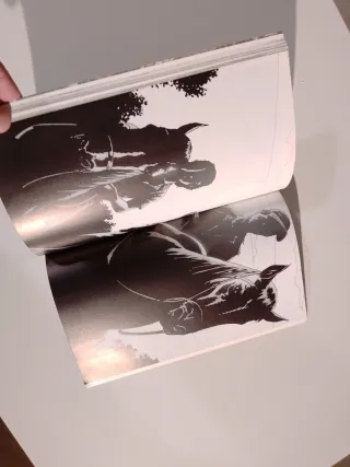 The Walking Dead Volume 9: Here We Remain