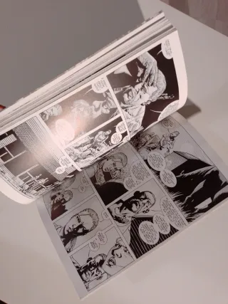 The Walking Dead Volume 9: Here We Remain