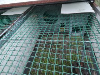 Jaula cría perdices metálica