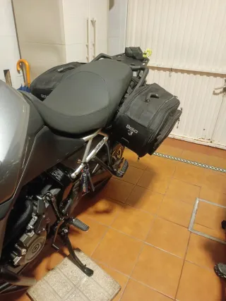 Maletas Laterales Bela