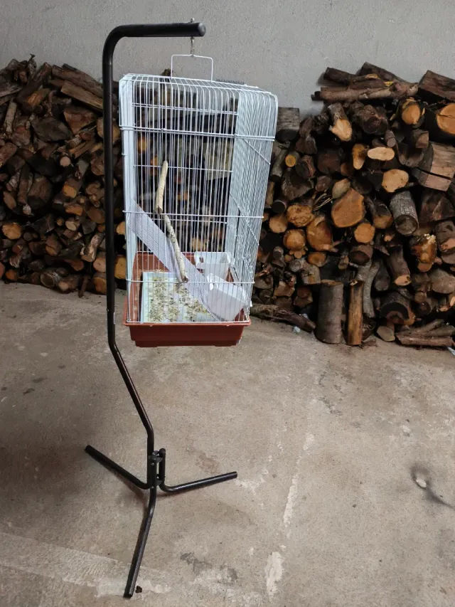 Jaula para pájaros con pie