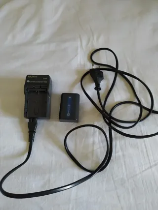 Cargador Sony BC-VM50 y Batería InfoLITHIUM M
