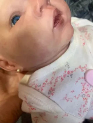 Muñeco Reborn Bebé + Accesorios