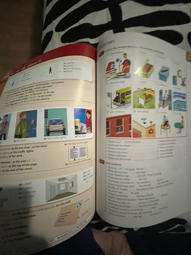 Essential Grammar in Use with Answers: A Self-S...