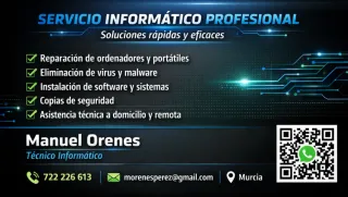 Técnico informático.