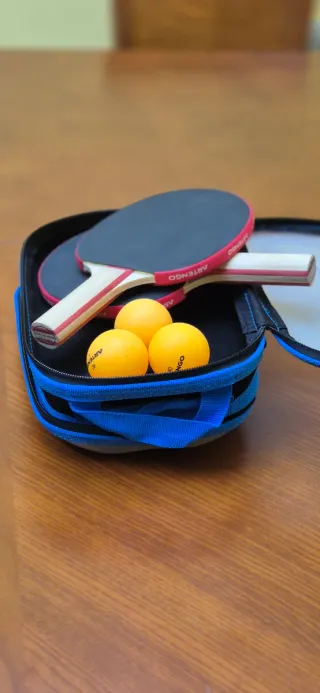 Rollnet pin pon Artengo