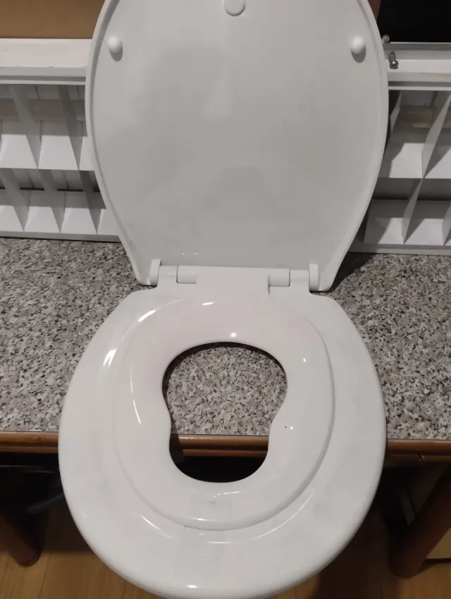 Tapa de inodoro blanca de plástico