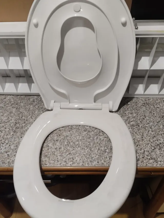 Tapa de inodoro blanca de plástico