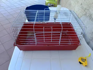 Gabbia per conigli con bevitore e rastrelliera