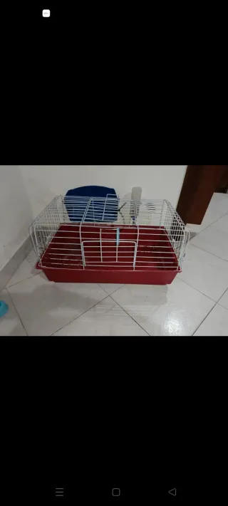 Gabbia per conigli con bevitore e rastrelliera