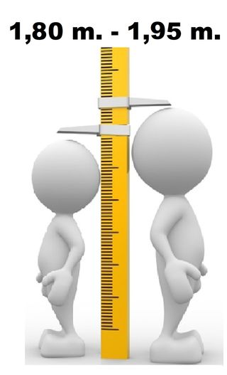 Bicicleta Berria Belador 6 Carbono