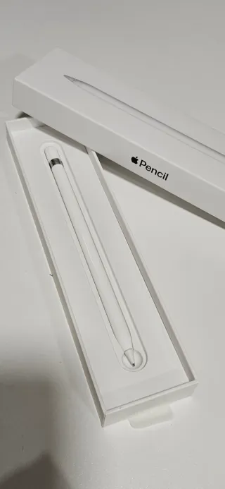 Apple Pencil 1ª Gen